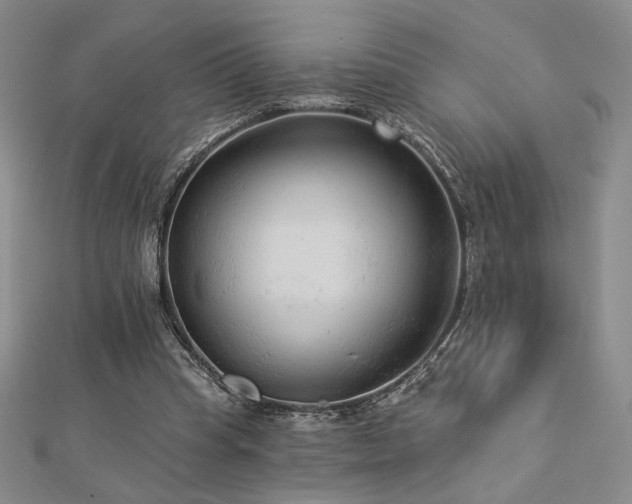 X0000113020345200908271438