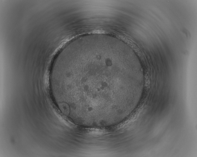 X0000113020347200908271438