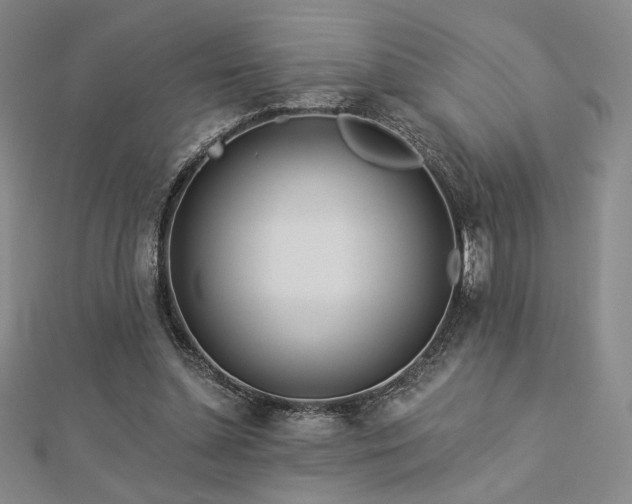 X0000113020348200908271438