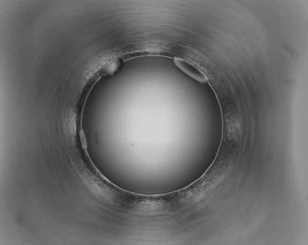 X0000113020350200908271438