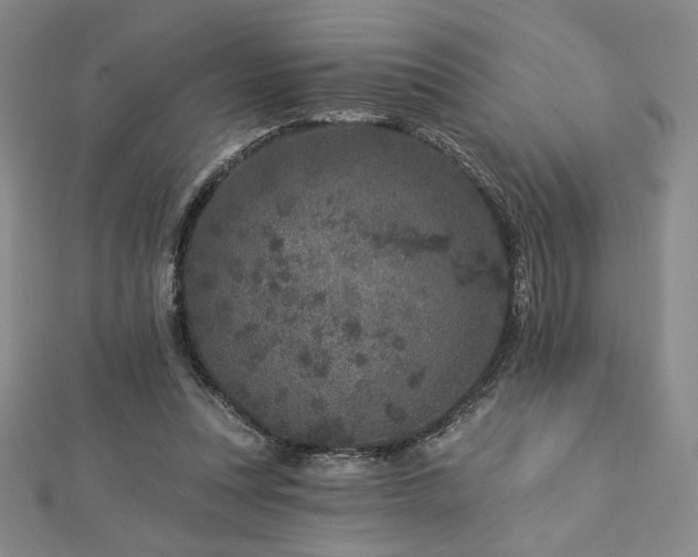X0000113020351200908271438