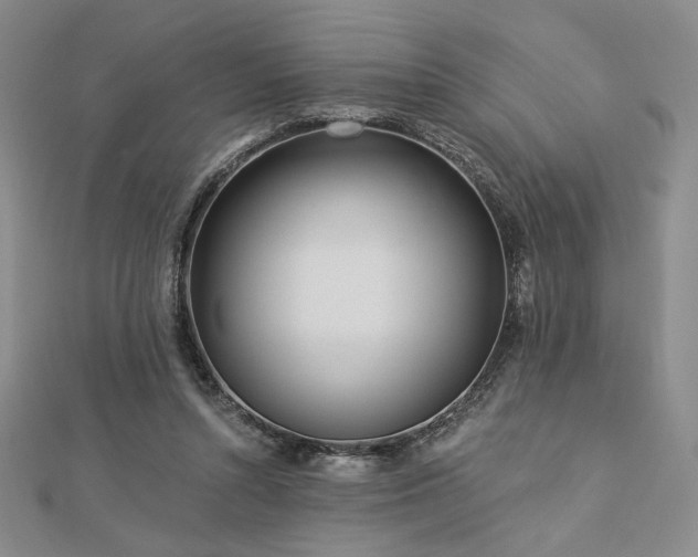 X0000113020352200908271438
