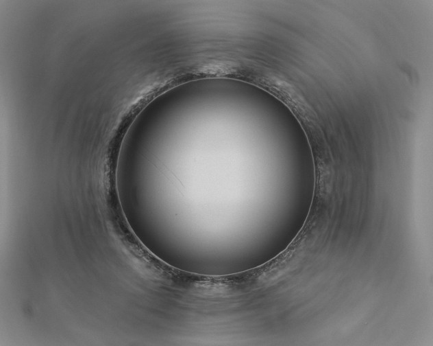 X0000113020354200908271438