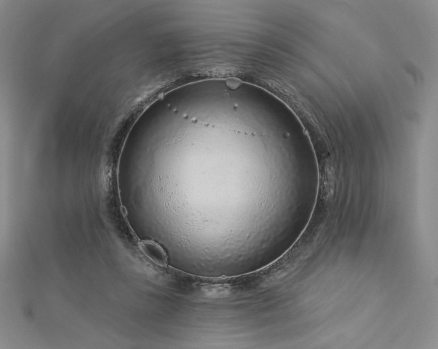 X0000113020355200908271438
