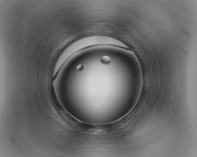 X0000113020356200908271438