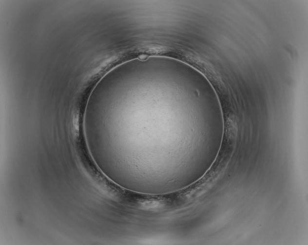 X0000113020358200908271438