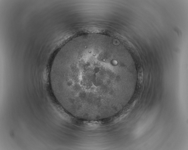 X0000113020359200908271438