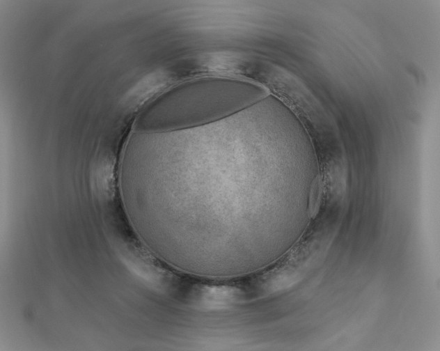 X0000113020360200908271438