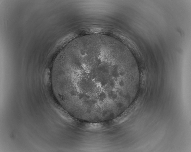 X0000113020361200908271438