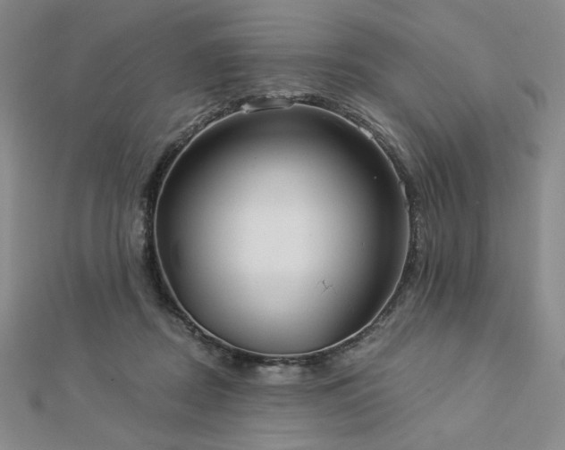 X0000113020362200908271438