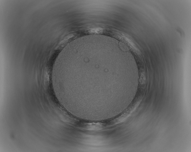 X0000113020363200908271438