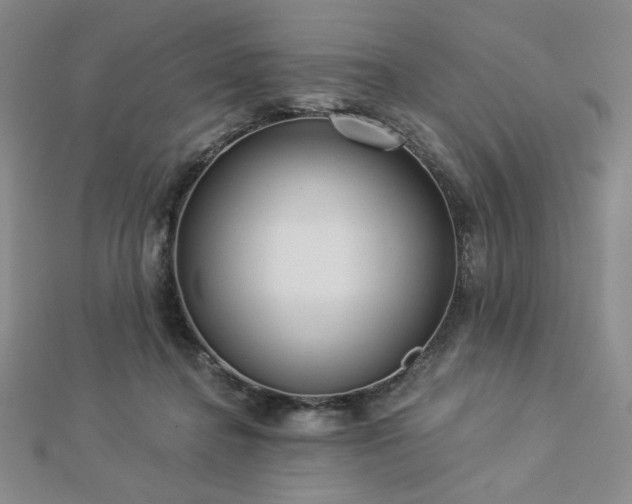X0000113020364200908271438