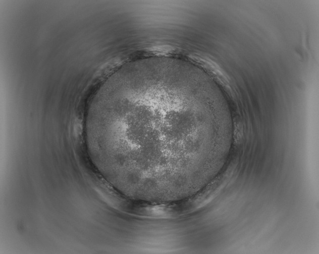 X0000113020365200908271438