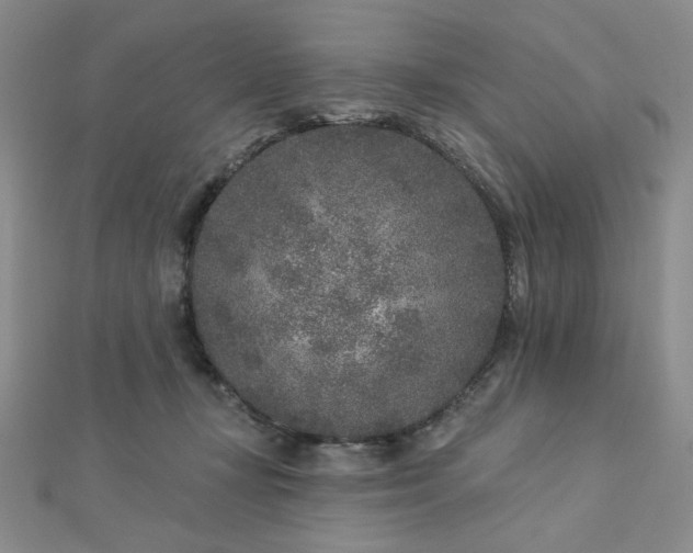 X0000113020367200908271438