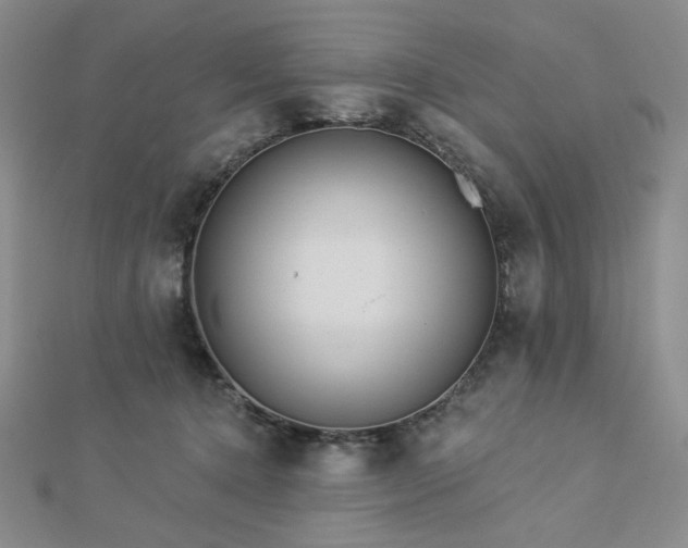 X0000113020368200908271438