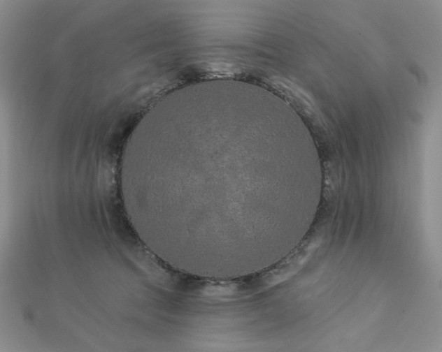 X0000113020369200908271438