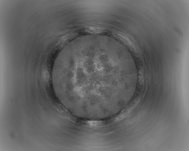 X0000113020371200908271438