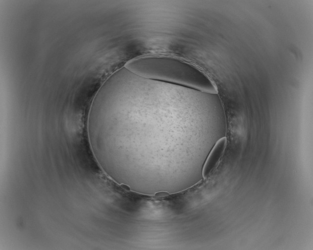 X0000113020372200908271438