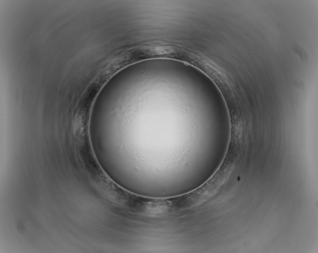 X0000113020373200908271438