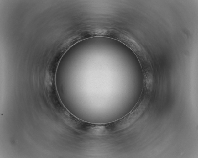 X0000113020374200908271438