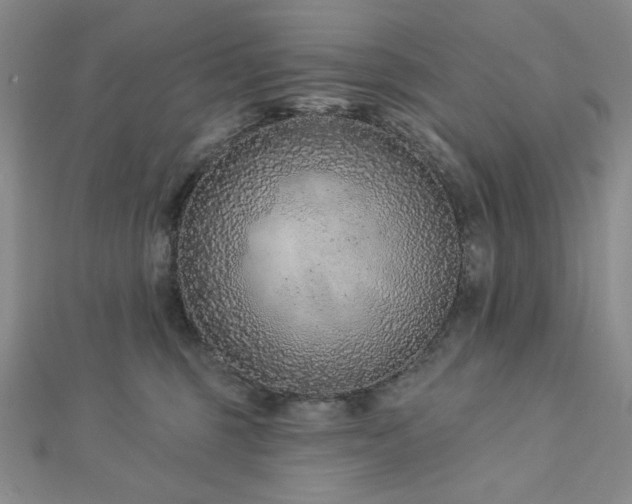 X0000113020375200908271438
