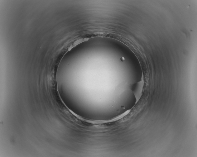 X0000113020376200908271439