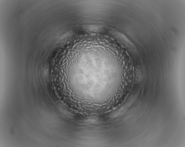 X0000113020377200908271439