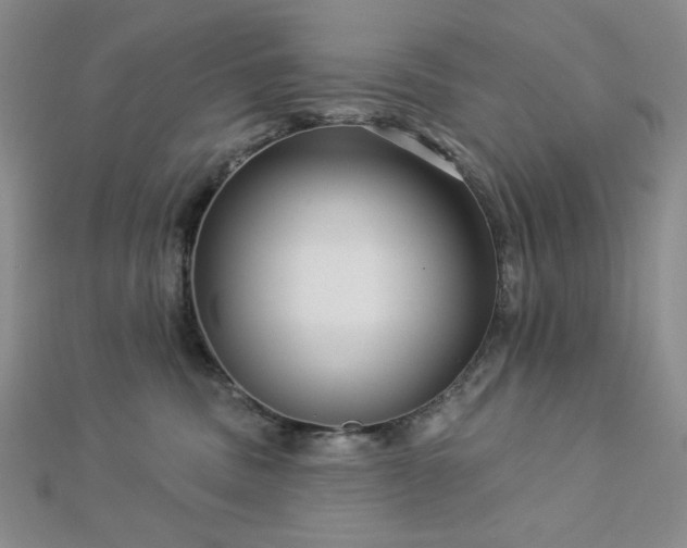 X0000113020379200908271439