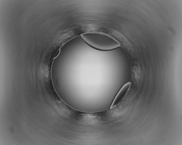 X0000113020380200908271439