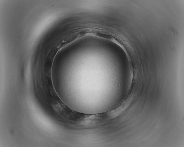 X0000113020382200908271439