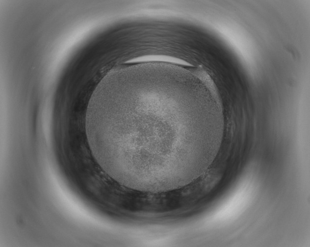X0000113020383200908271439