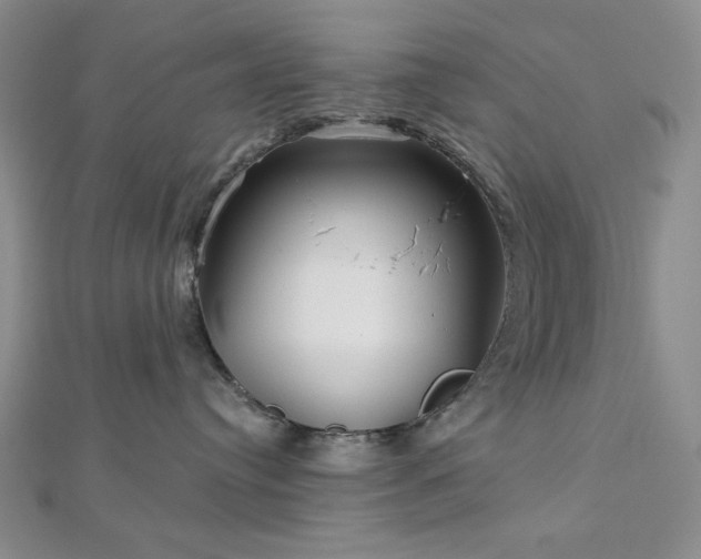 X0000113020384200908271439