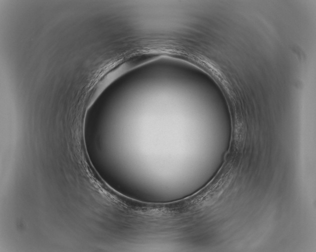 X0000113020385200908271438