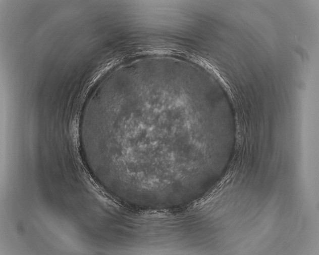 X0000113020386200908271438