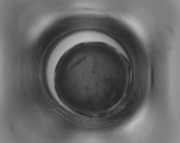 X0000113020387200908271438
