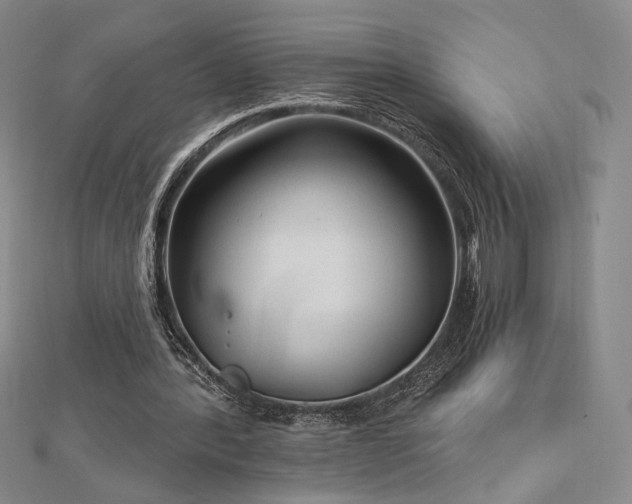 X0000113020388200908271438