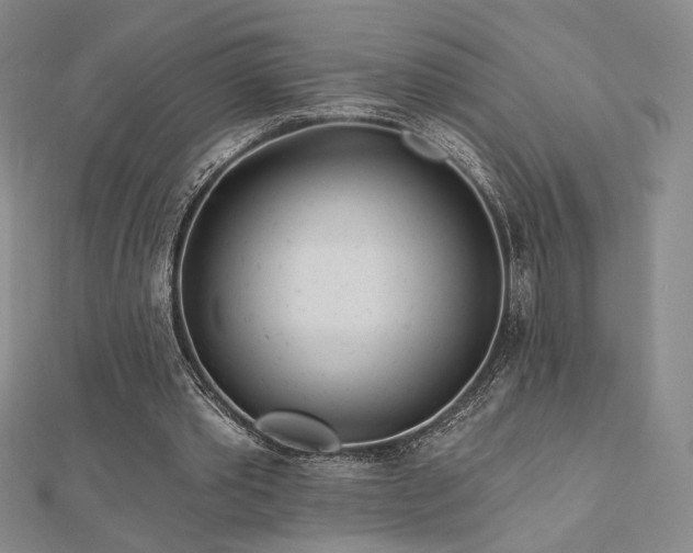X0000113020389200908271438