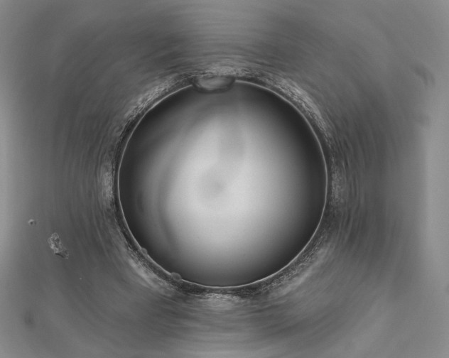 X0000113020393200908271438