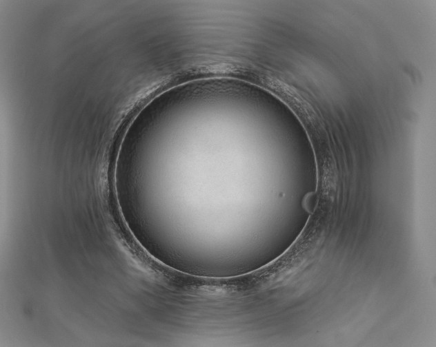 X0000113020394200908271438