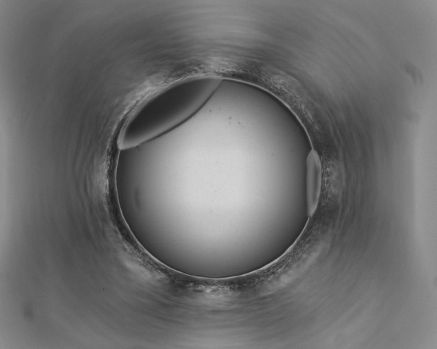 X0000113020395200908271438