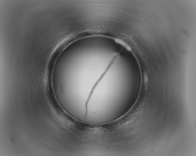 X0000113020396200908271438