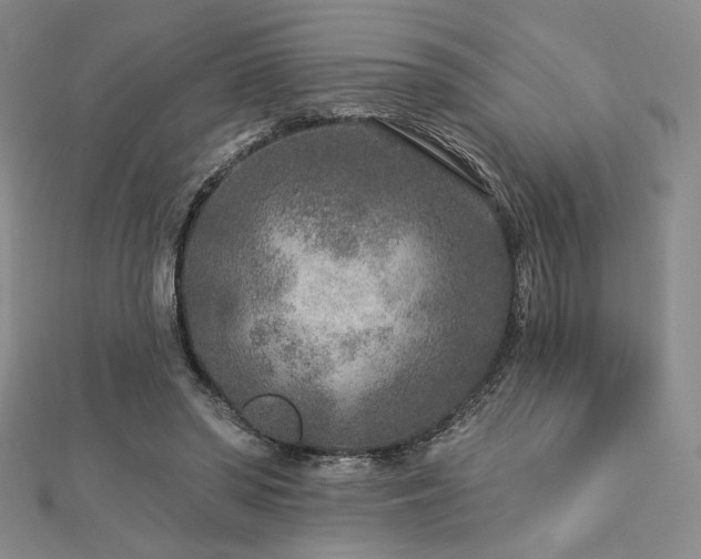X0000113020398200908271438