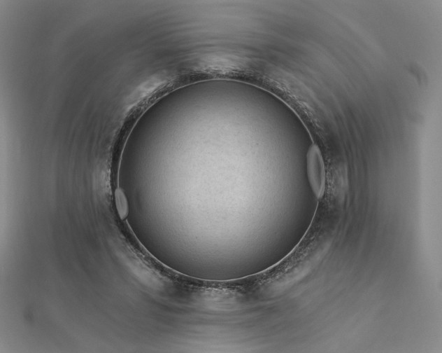 X0000113020399200908271438