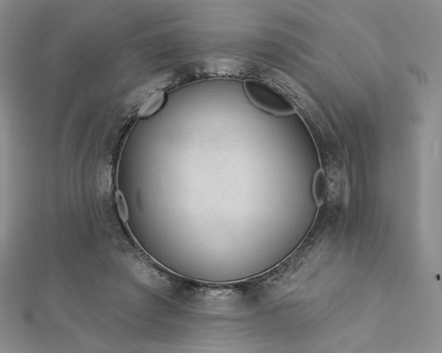 X0000113020401200908271438