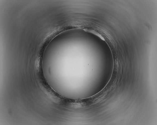 X0000113020404200908271438