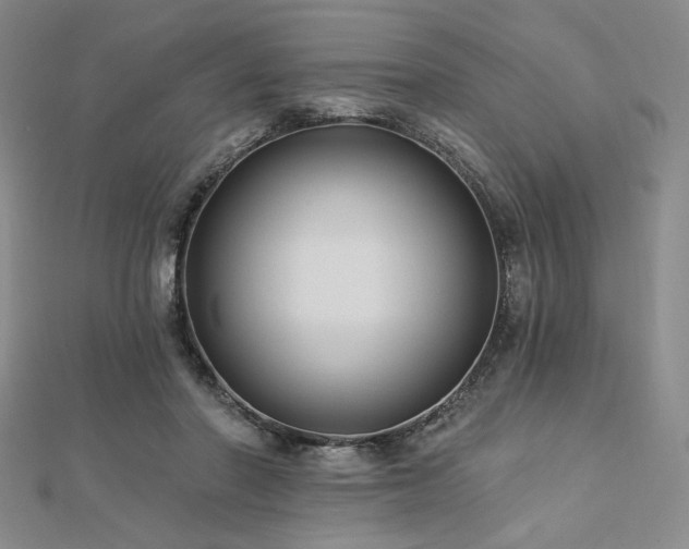 X0000113020406200908271438