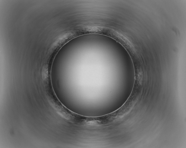 X0000113020407200908271438
