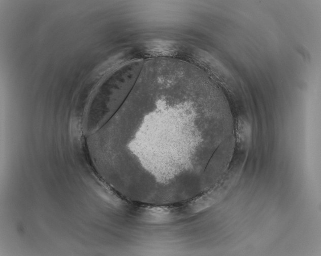 X0000113020409200908271438