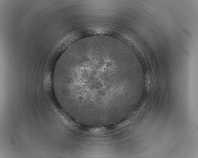 X0000113020410200908271437