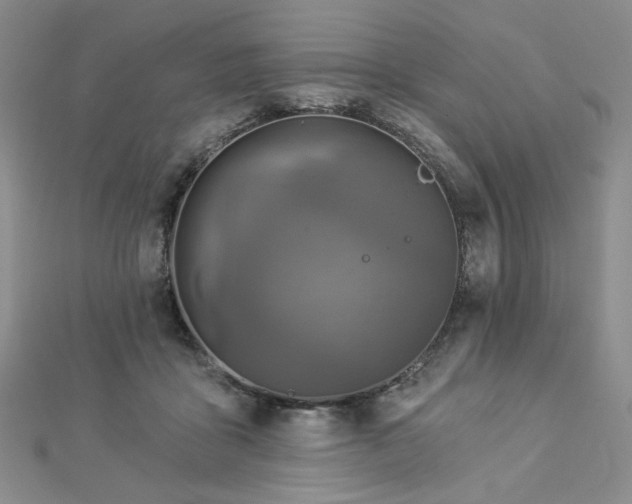 X0000113020411200908271437